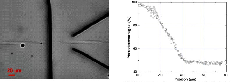 Position sensing: (Left) waveguides embedded in the glass structures (central portion of the sensor). (Right) Photodetector signal as function of flexure displacement.