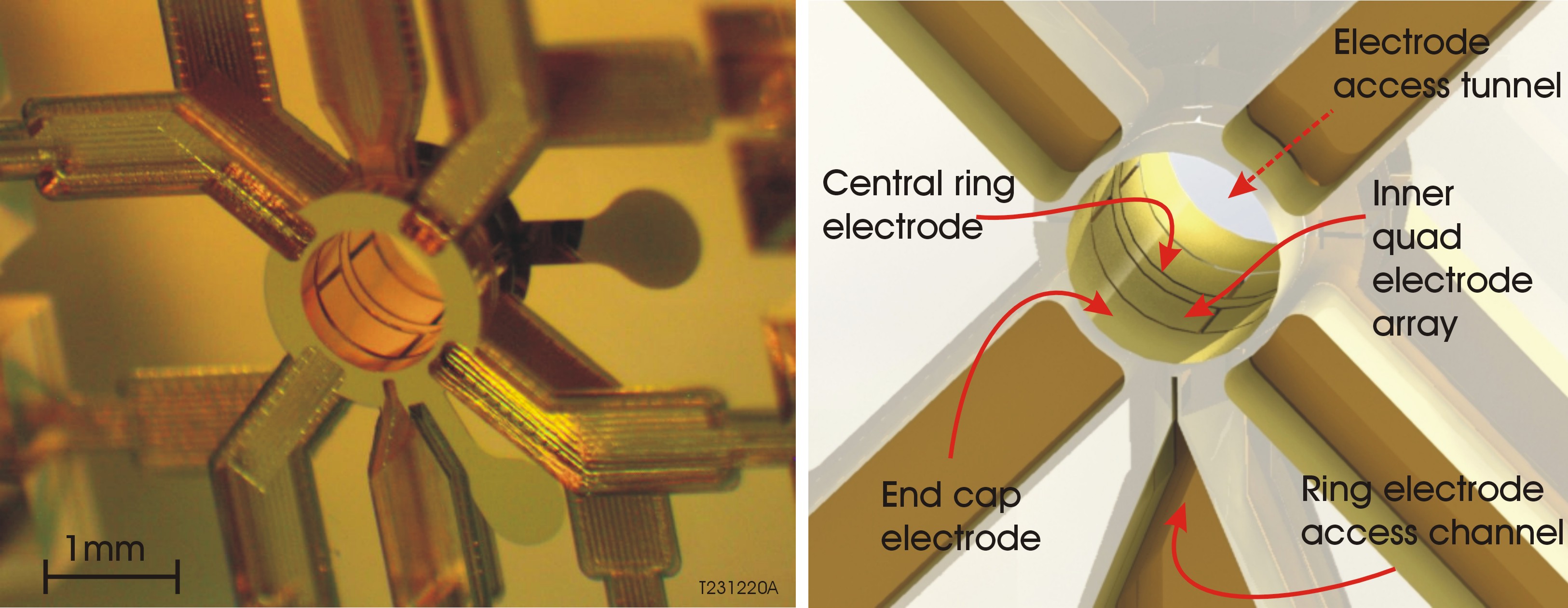 Monolithic Penning trap Core: (Left) Looking down the central bore hole of a prototype. (Right) Model showing some of the electrodes and the associated electrical access tunnels